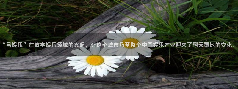 星耀国际官方app下载安装：“吕娱乐”在数字娱乐领域的兴起，让这个城市乃至整个中国娱乐产业迎来了翻天覆地的变化。