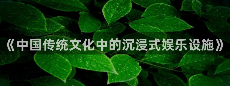 星耀国际：《中国传统文化中的沉浸式娱乐设施》