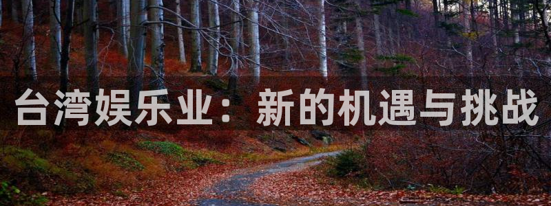 星耀国际app下载安装最新版：台湾娱乐业：新的机遇与挑战