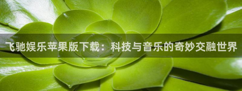 星耀国际游戏官网平台：飞驰娱乐苹果版下载：科技与音乐的奇妙交融世界